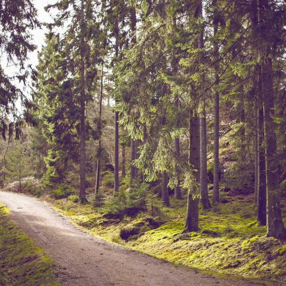 Brand Integration in Outdoor Storytelling