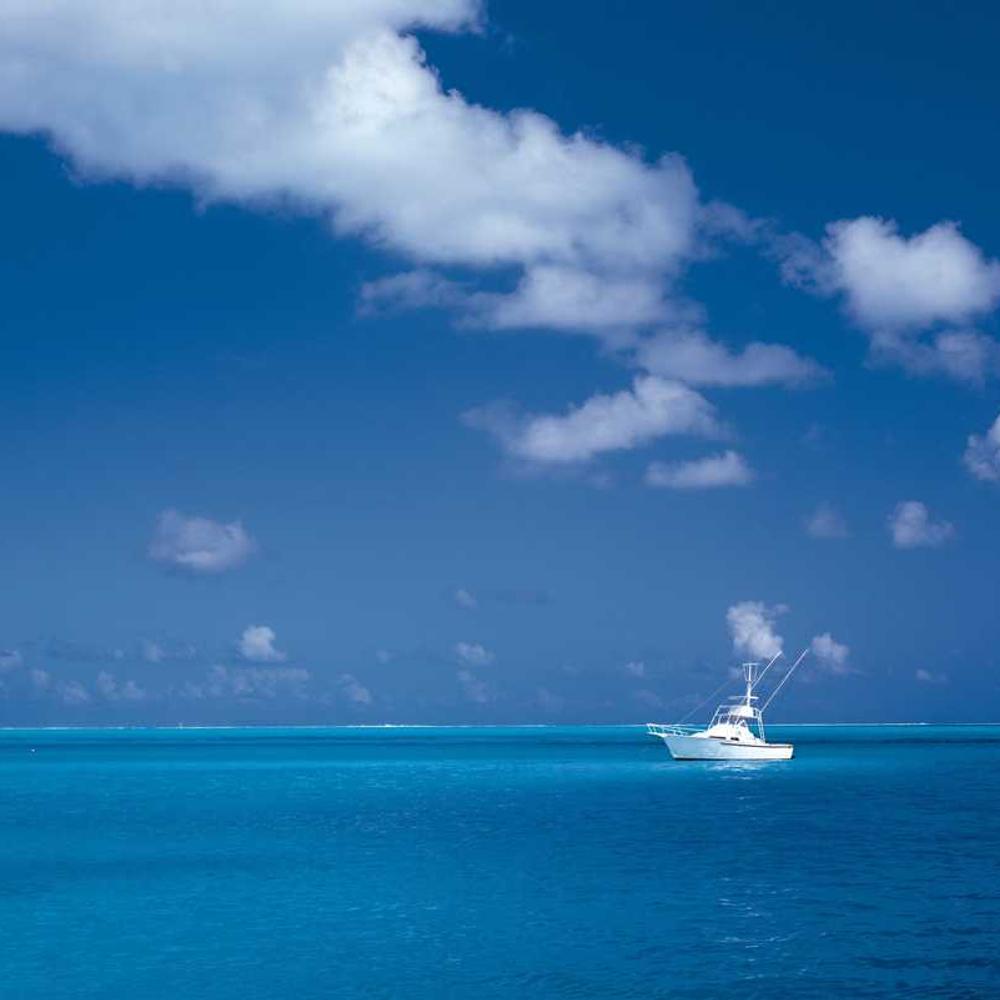 Authentic Montréal Lifestyle Reel