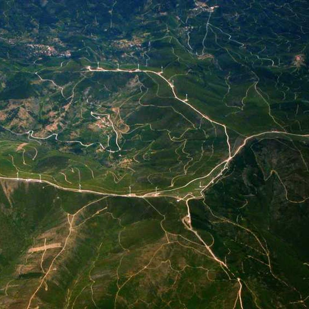 Live Broadcast Brand Shoutout