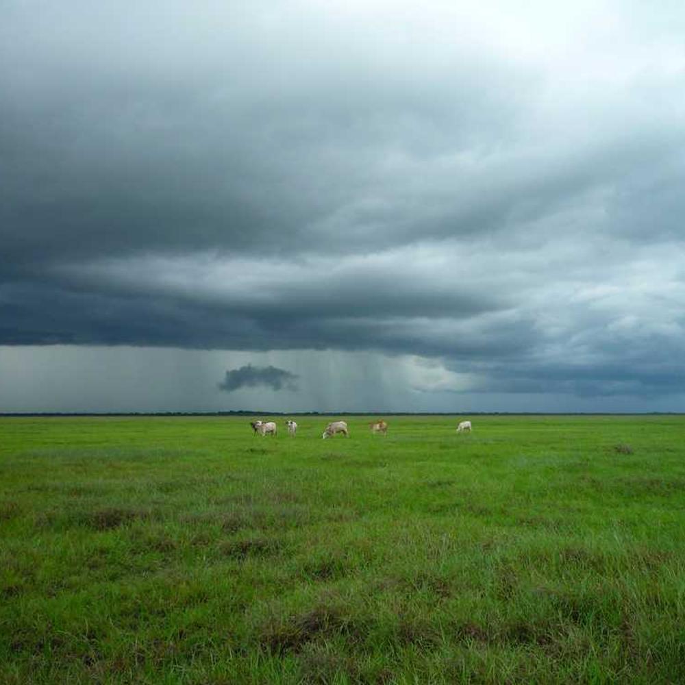 Professional Afro Dance Tutorial Reel