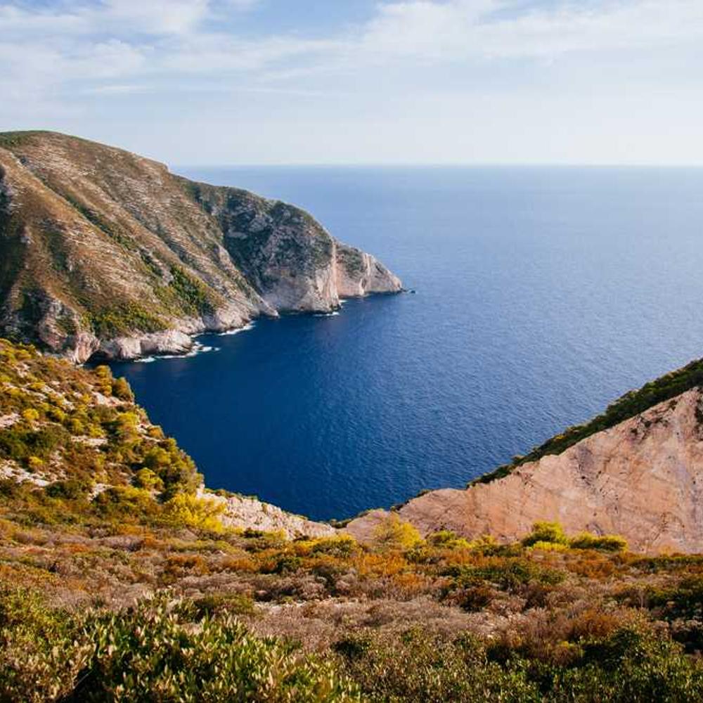 Trusted Discount Code for Local Conversions