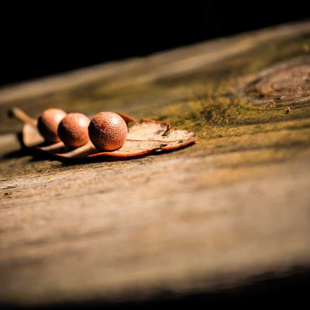 Authentic Instagram Stories for Product Promotion