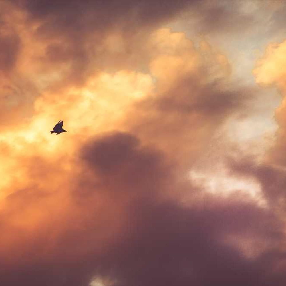 Instagram Stories Collaboration Package