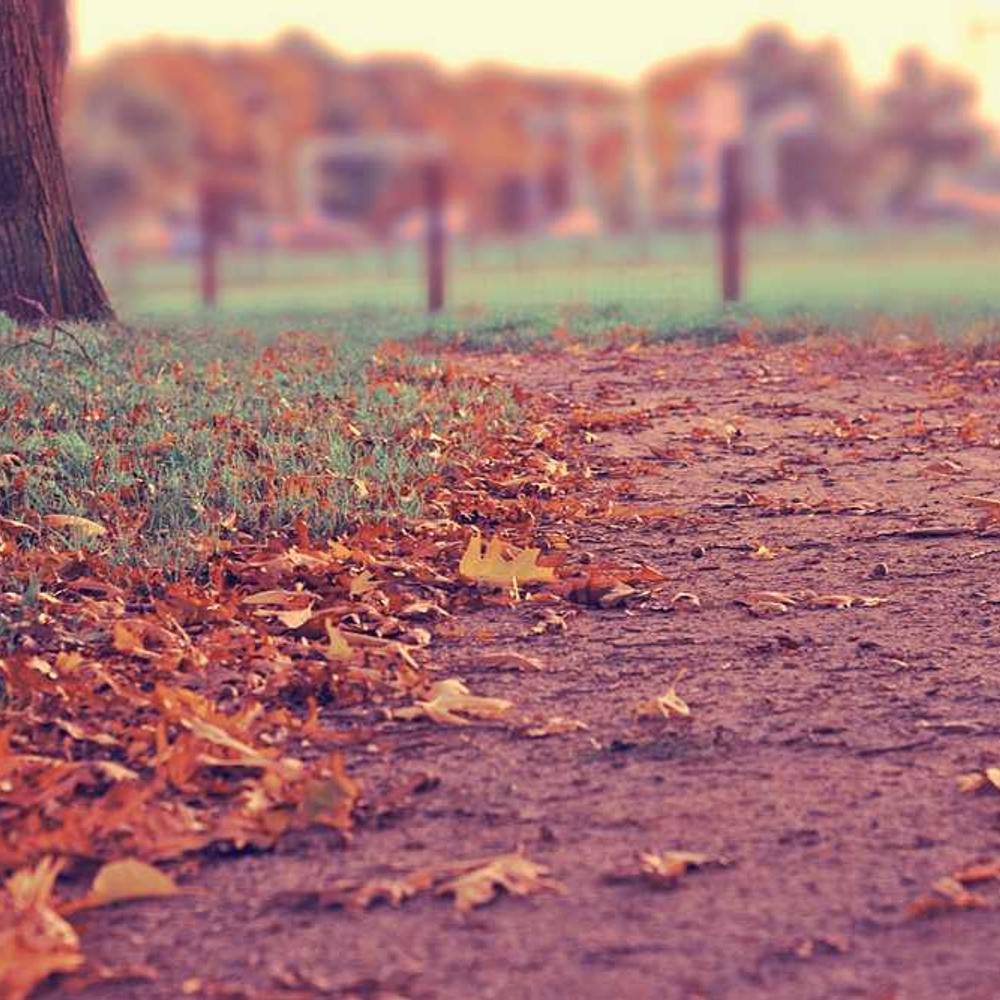 Co-Hosted Live Product Demonstration