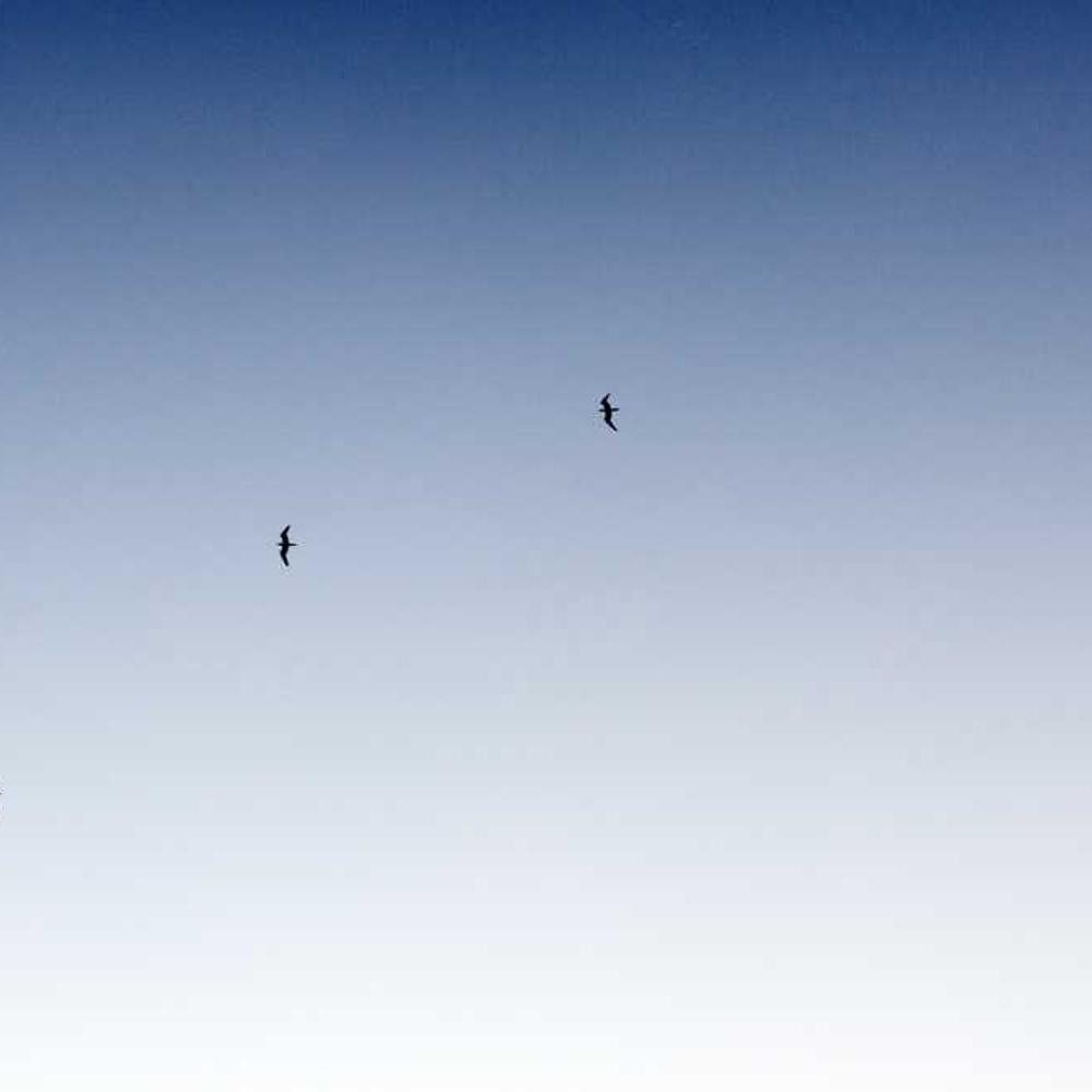 Brand Visibility Giveaway Partnership