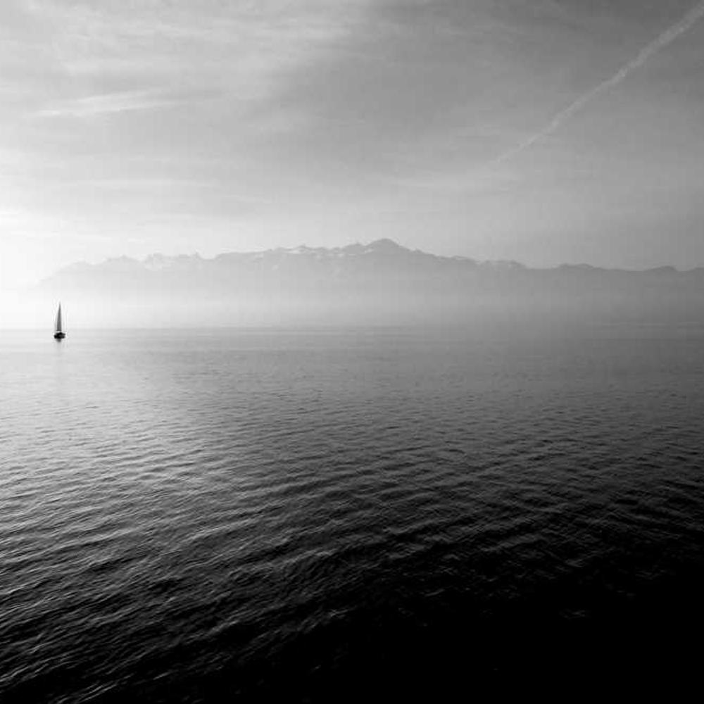 Brand Campaign Video Collaboration