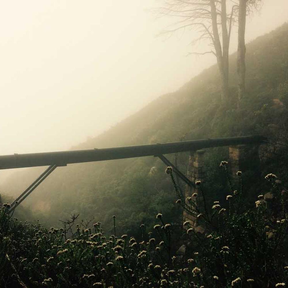 Authentic West African Style Product Placement