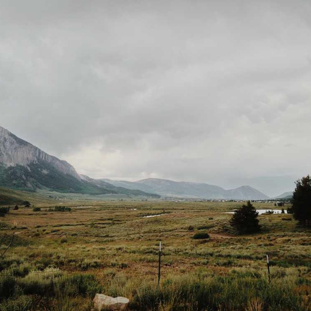 Instagram Live Brand Shoutout