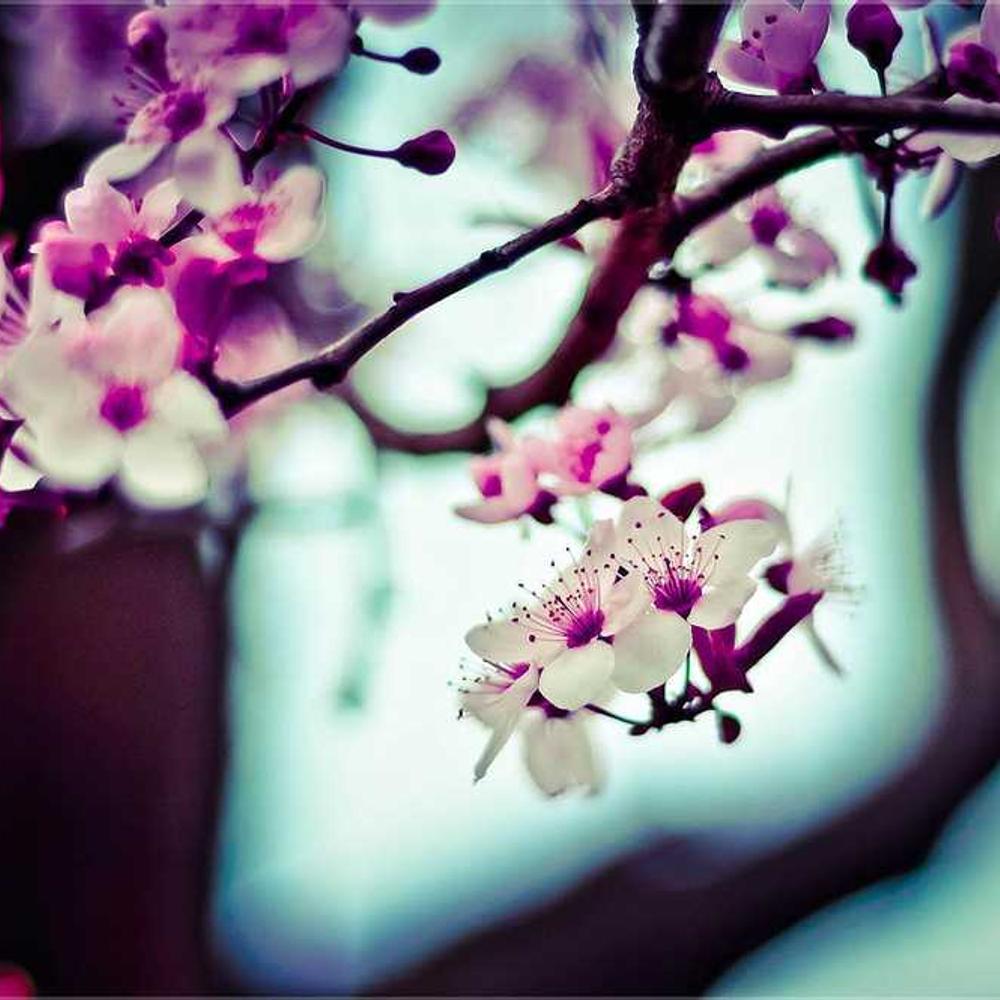 Instagram Feed Post for Nigerian Audience