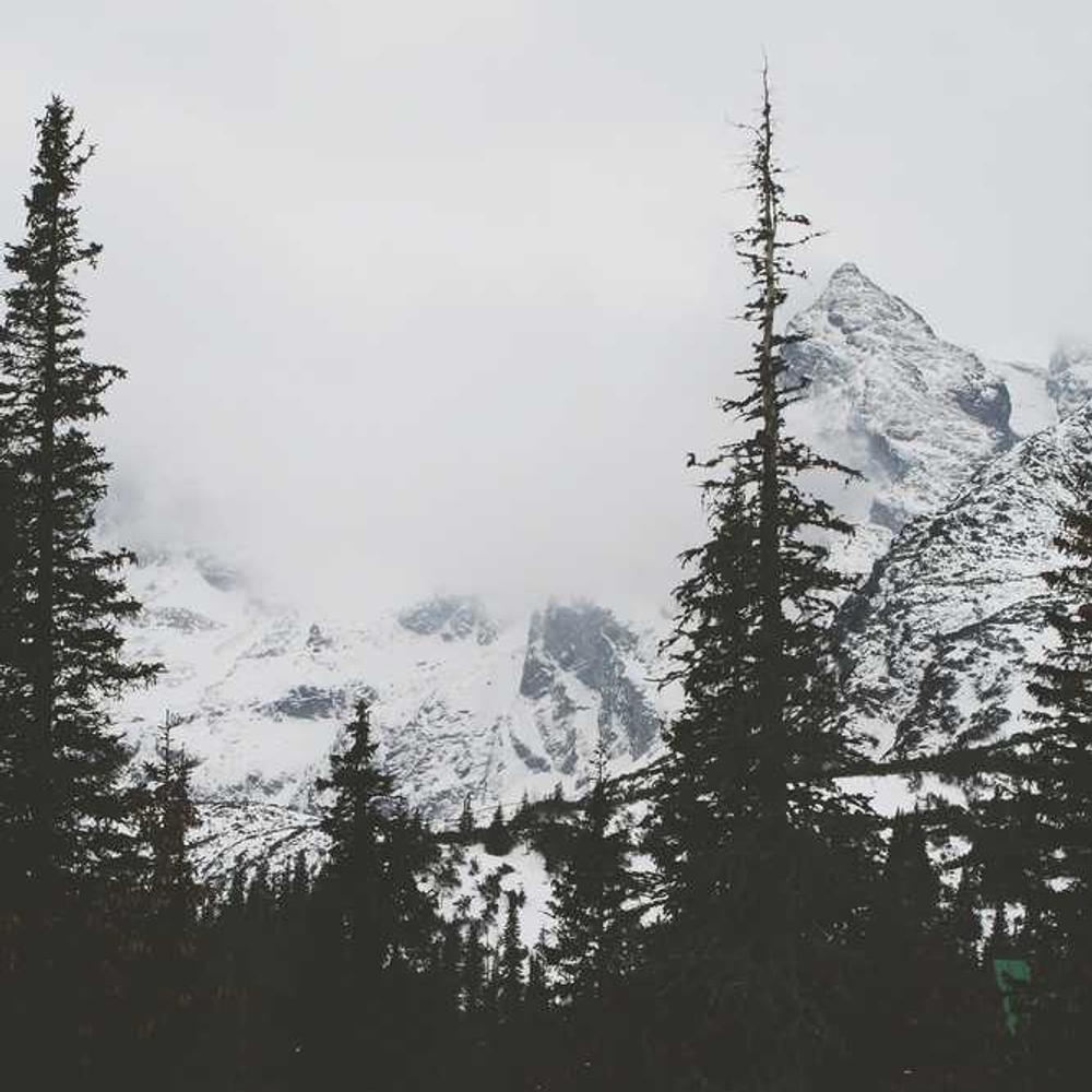 10+ Authentic Fashion Lifestyle Stories