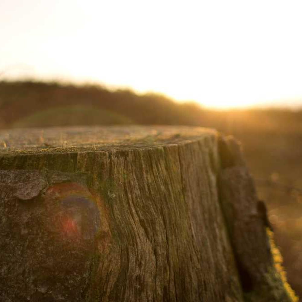 Instagram Stories Integration for Filipino Lifestyle