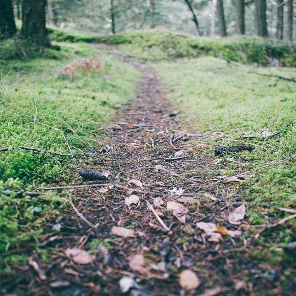 Authentic Brand Promotion to Lagos Audience