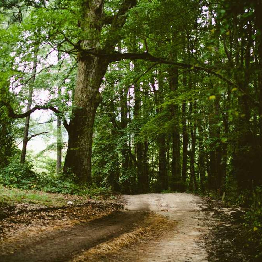 Instagram Live Mention for Philippine Audience