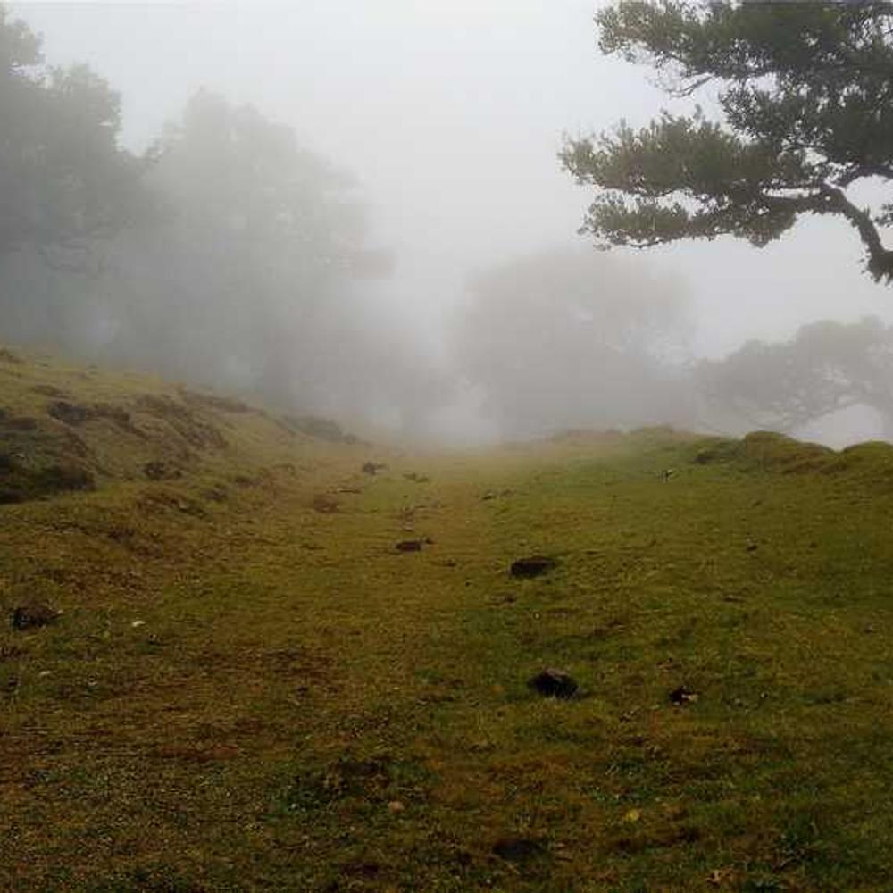 Authentic Reel for Nigerian Capital Reach