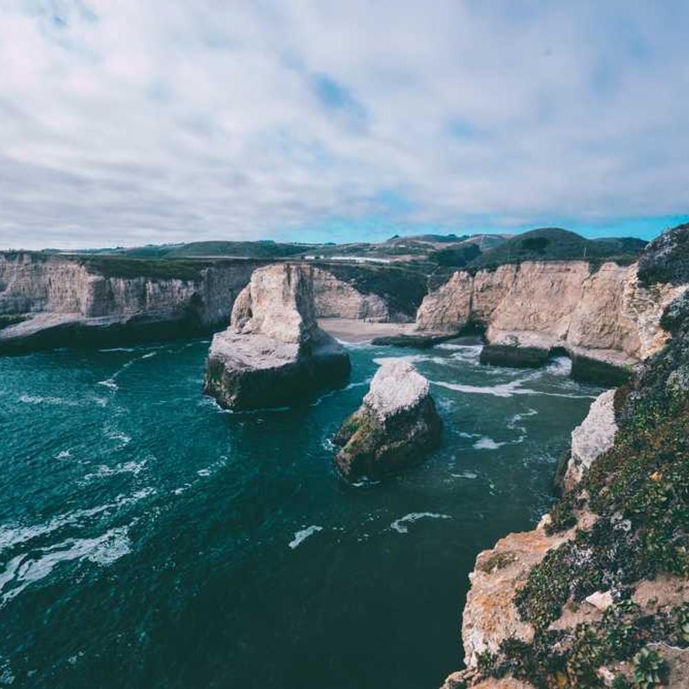 Co-host an Authentic Instagram Live Session