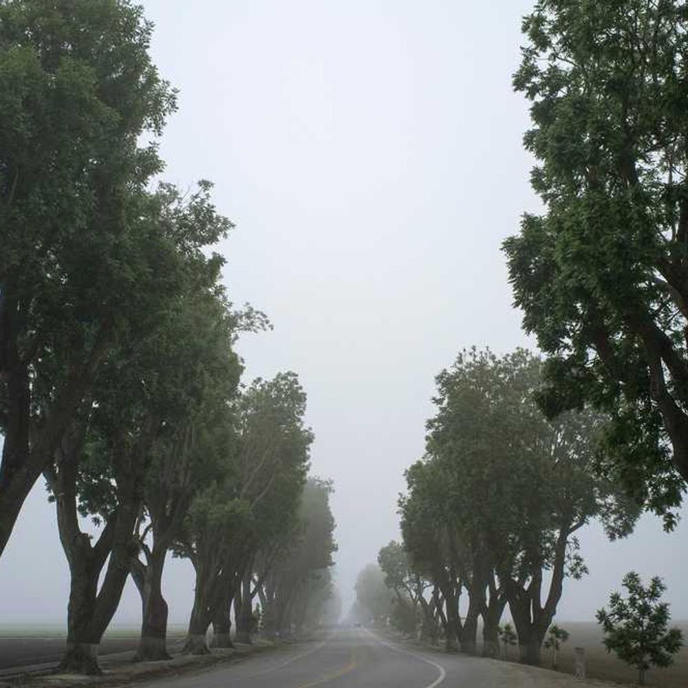 Professional Tutorial Reels for FCT Audience