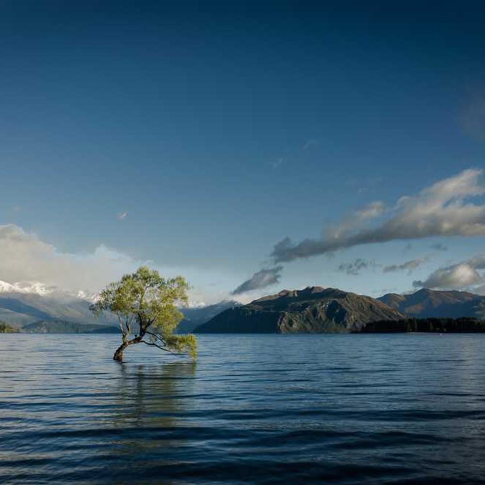 Authentic Lagos Travel Reel Partnership