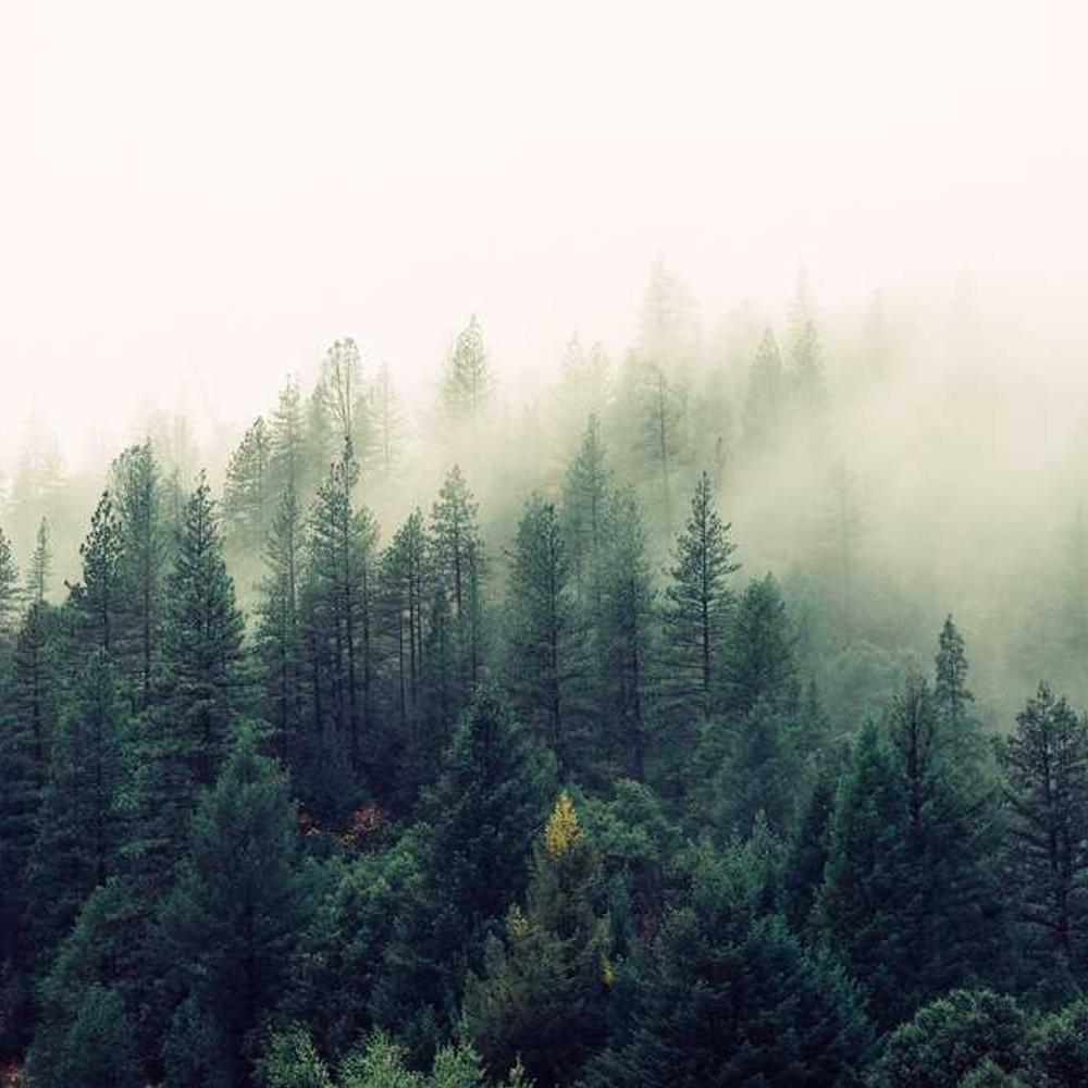 Brand Integration in Lagos