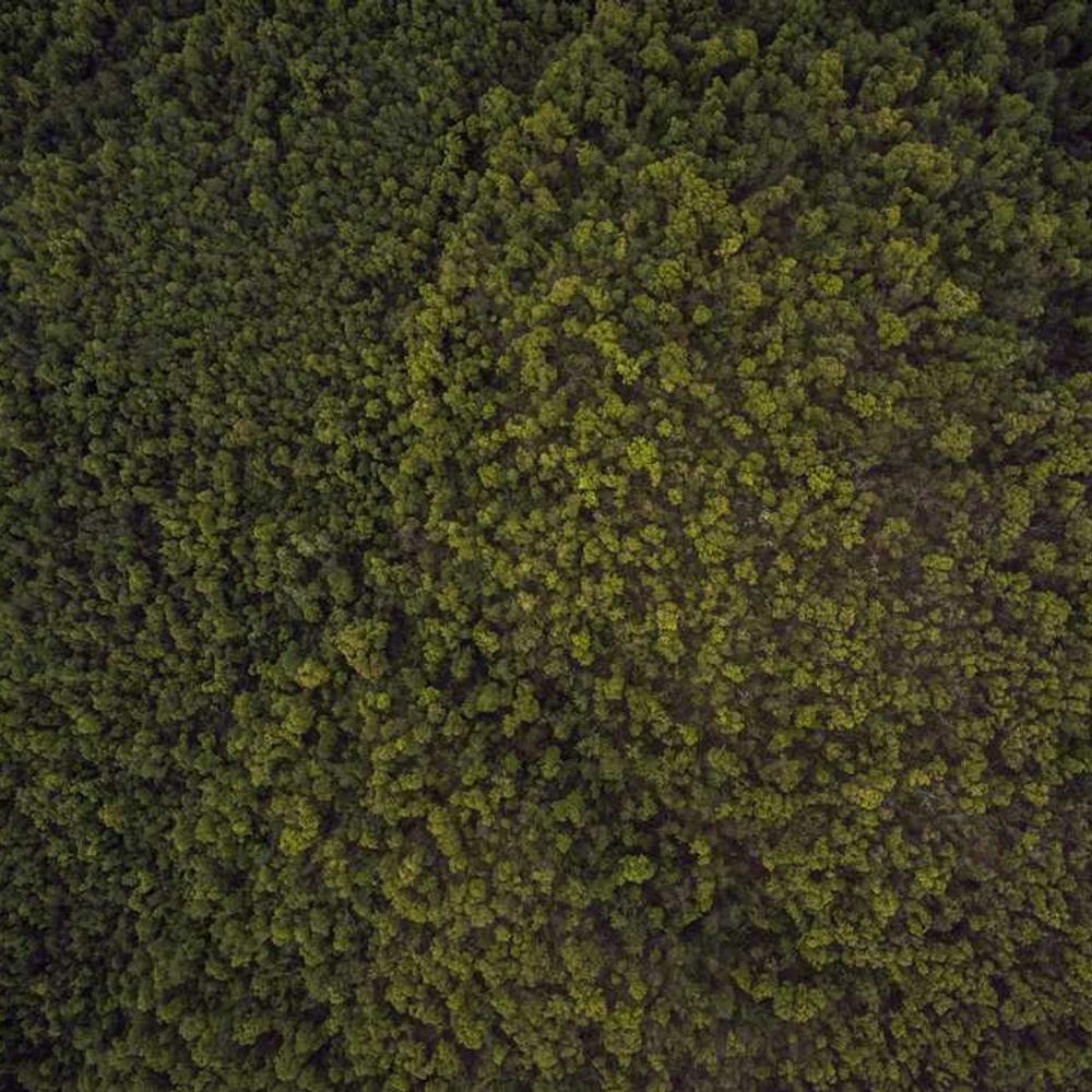 Brand Integration in Filipino Lifestyle Content