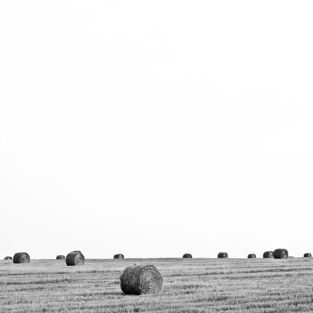 Professional Product Tutorial Video