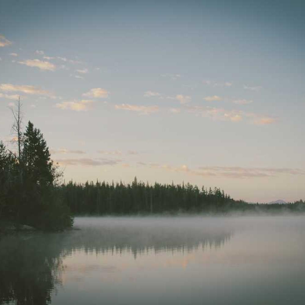 Live YouTube Mention for Abuja Audience