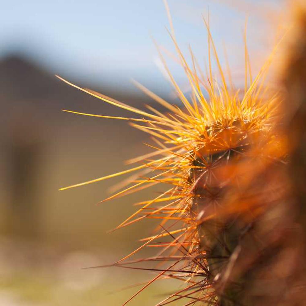 Facebook Discount Code Post for Filipino Audience