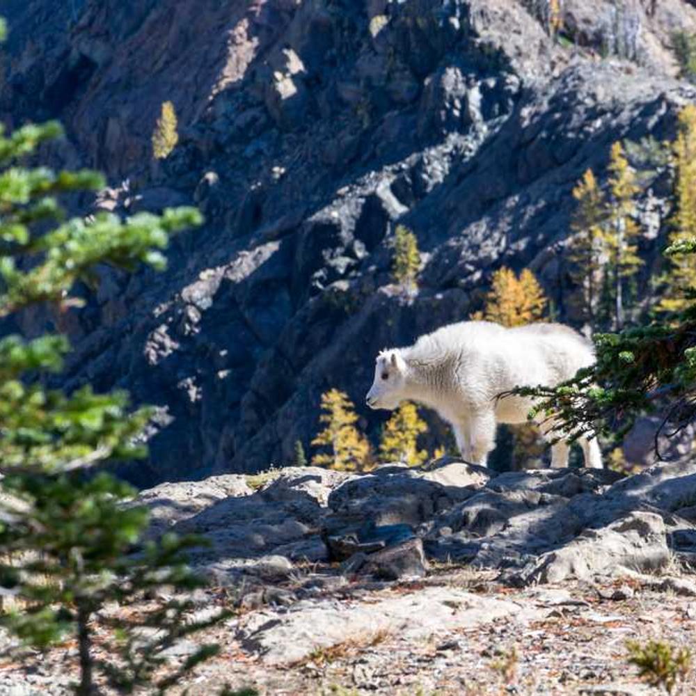 Pinned Post in Nigerian Facebook Group