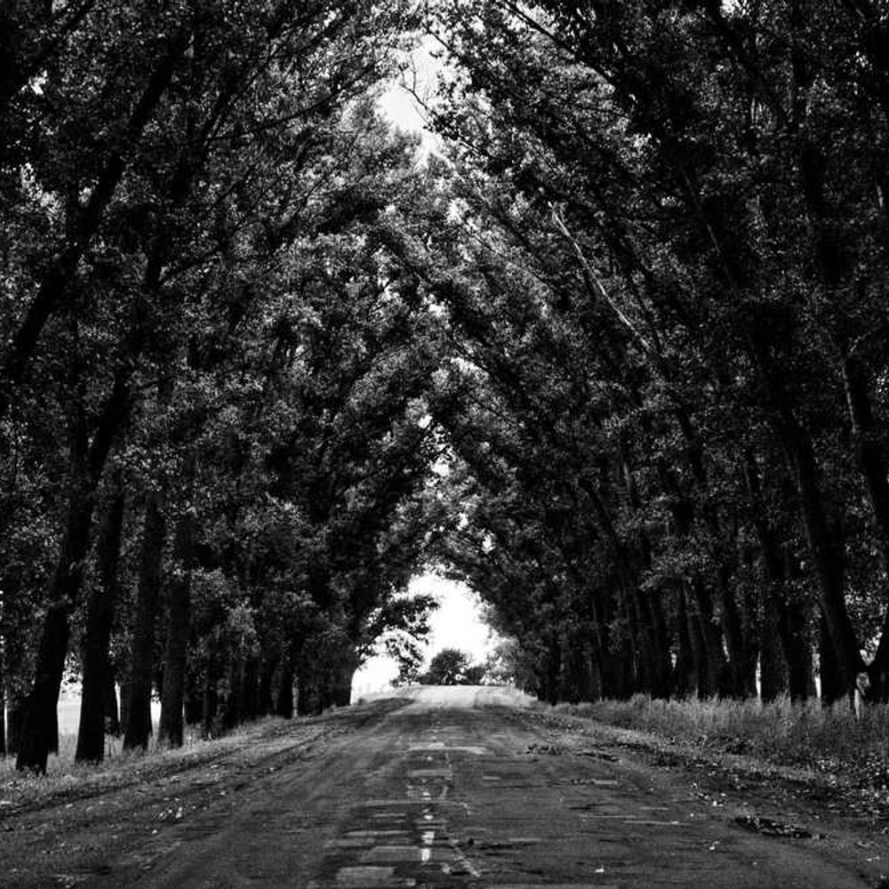 Authentic Instagram Stories for San Jose Audience