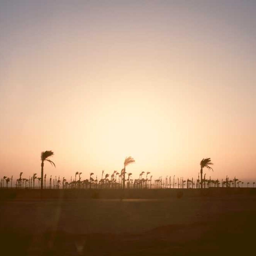 Premium Instagram Lifestyle Integration