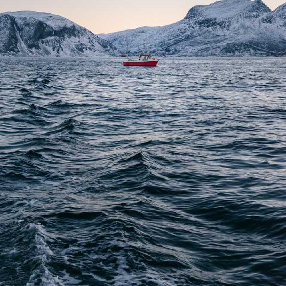 Live Brand Endorsement to Nigerian Youth