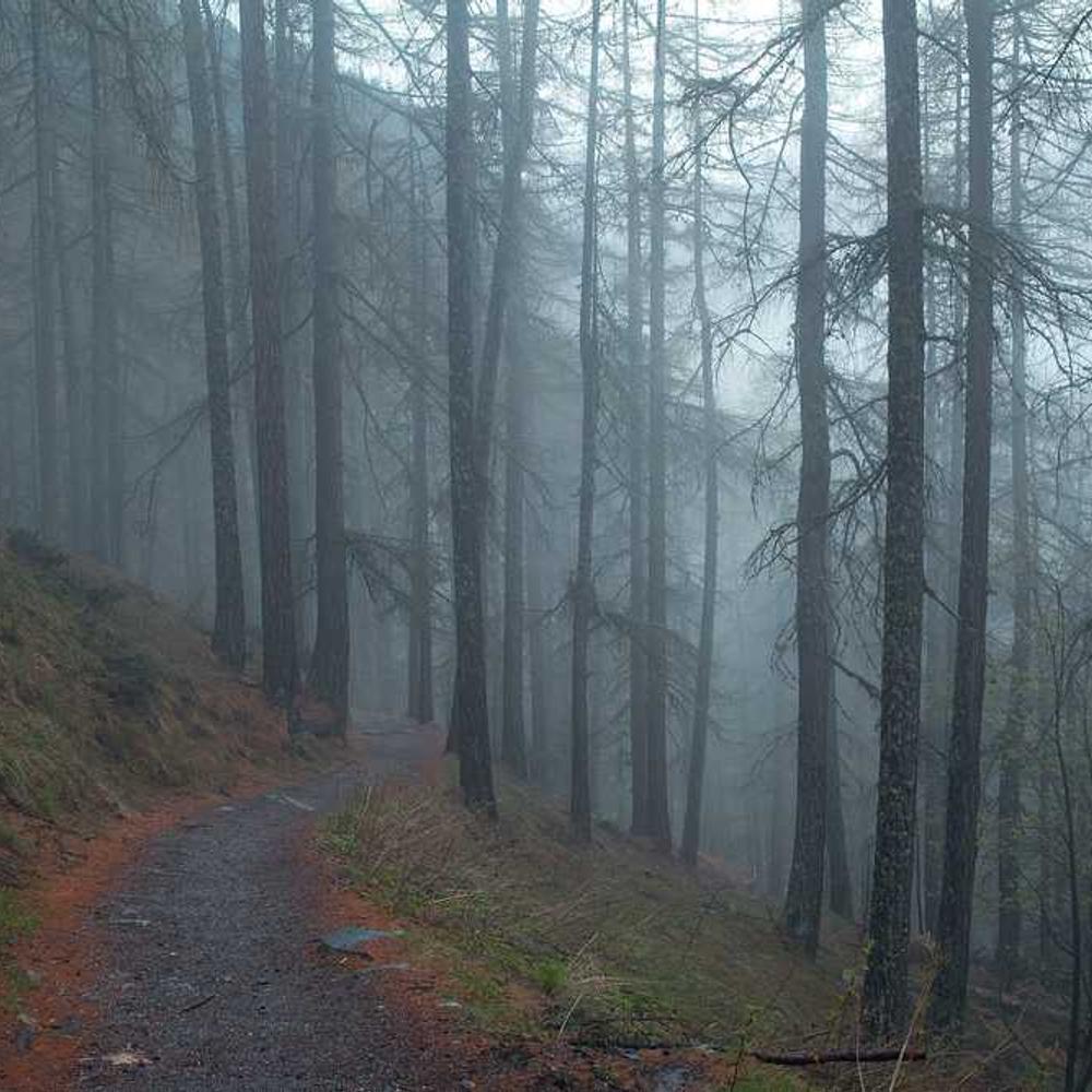 Brand Reel Collaboration for Nigerian Audience