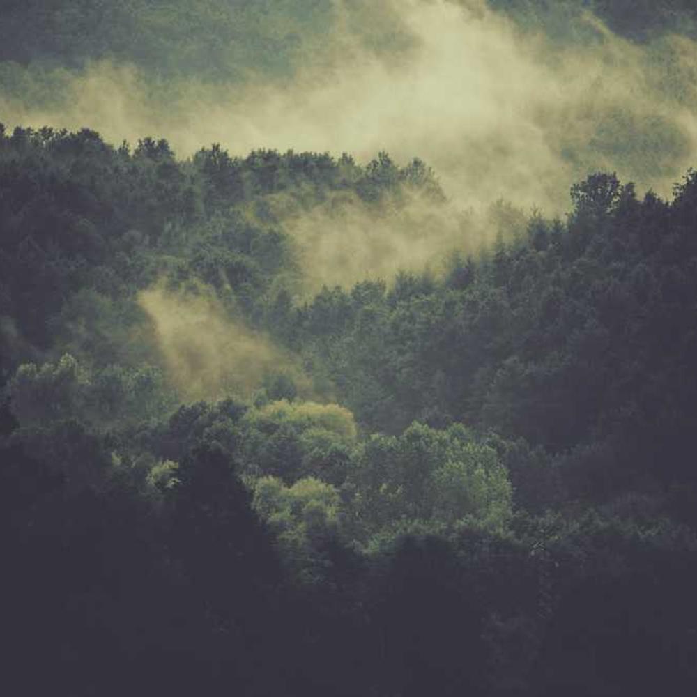 Content Bundle: Post, Reel & Story