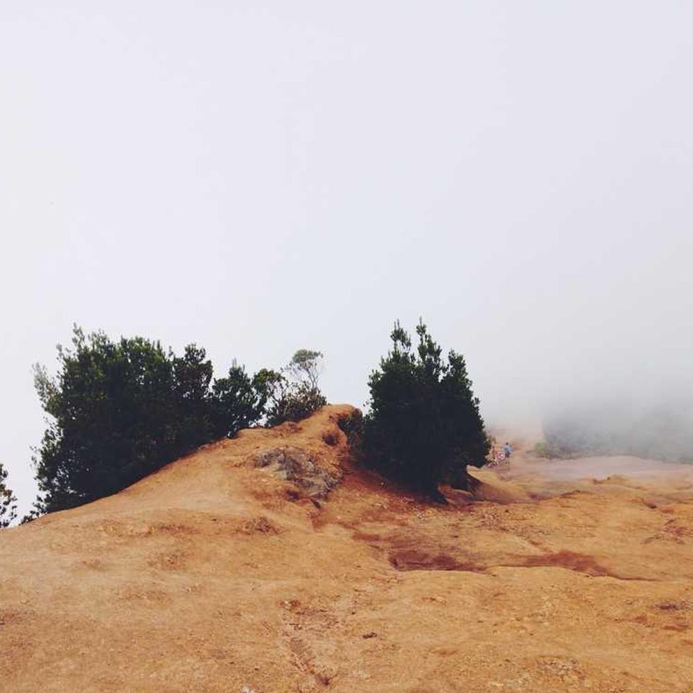 Instagram Live Brand Mention