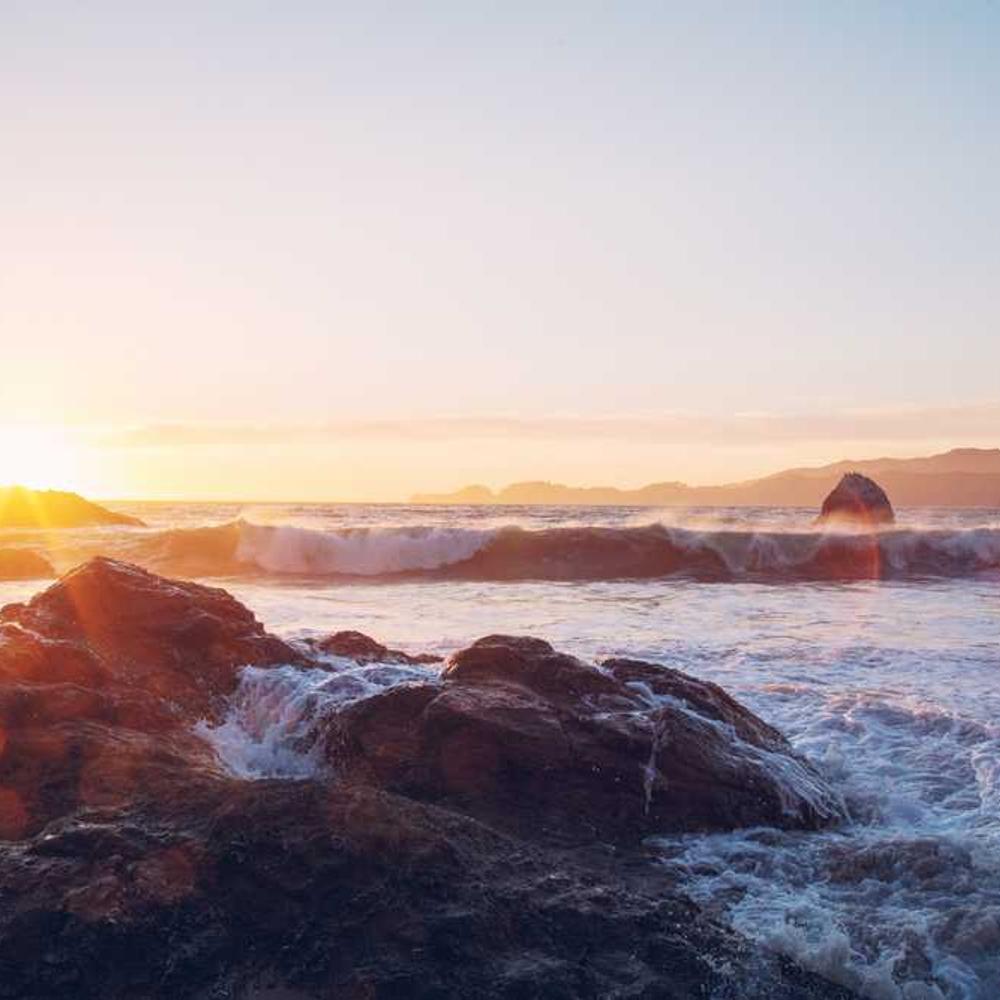 Professional Fashion Reel Partnership