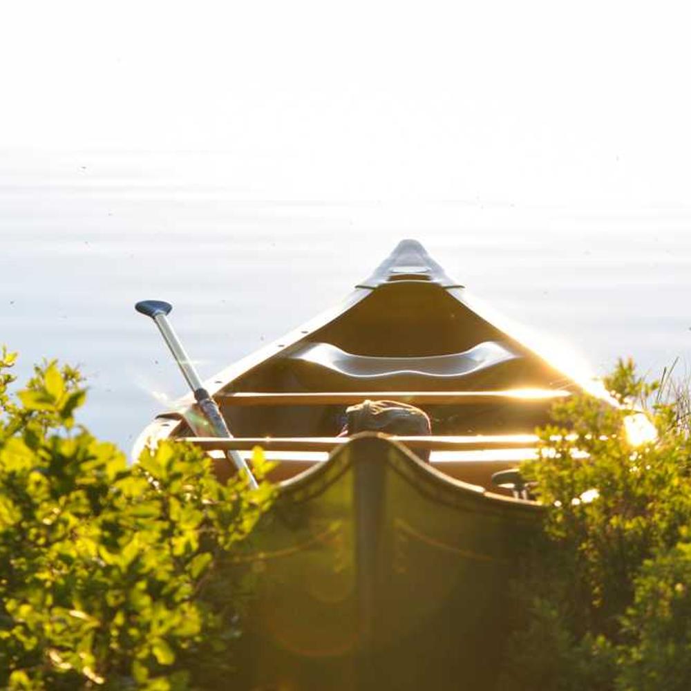 TikTok Live Co-Host Session in Nigeria