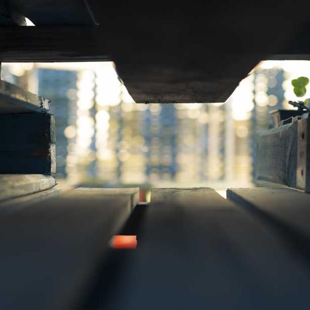 Professional Instagram Tutorial Reel