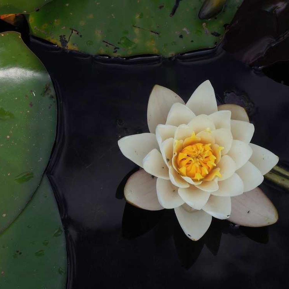 Localized Instagram Stories Package