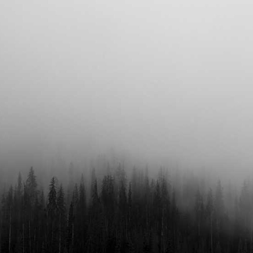 Authentic Instagram Tutorial Reels