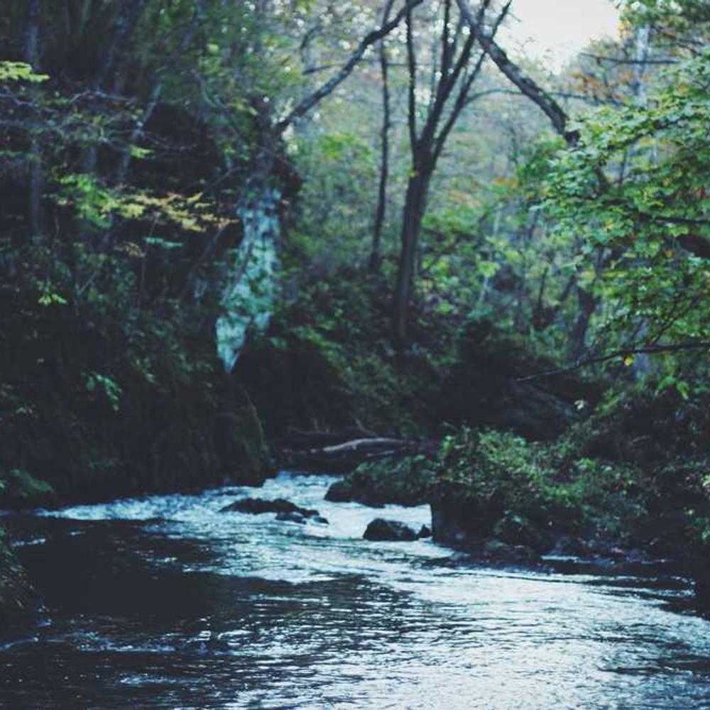 Authentic Filipino UGC Reels for Sultan Kudarat