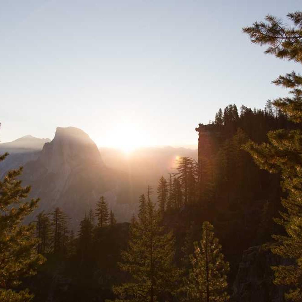 Authentic Regional Unboxing Reels