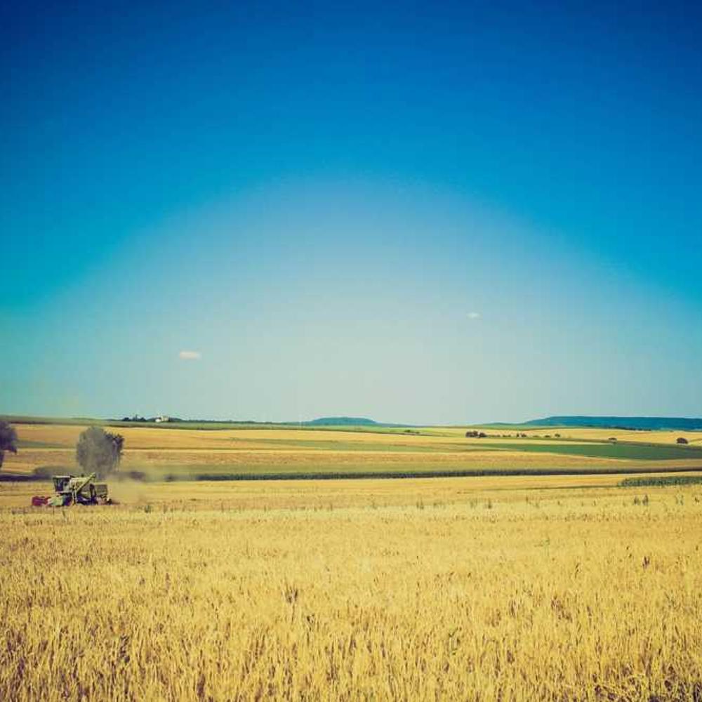 Live Mention Endorsement for Lekki Community