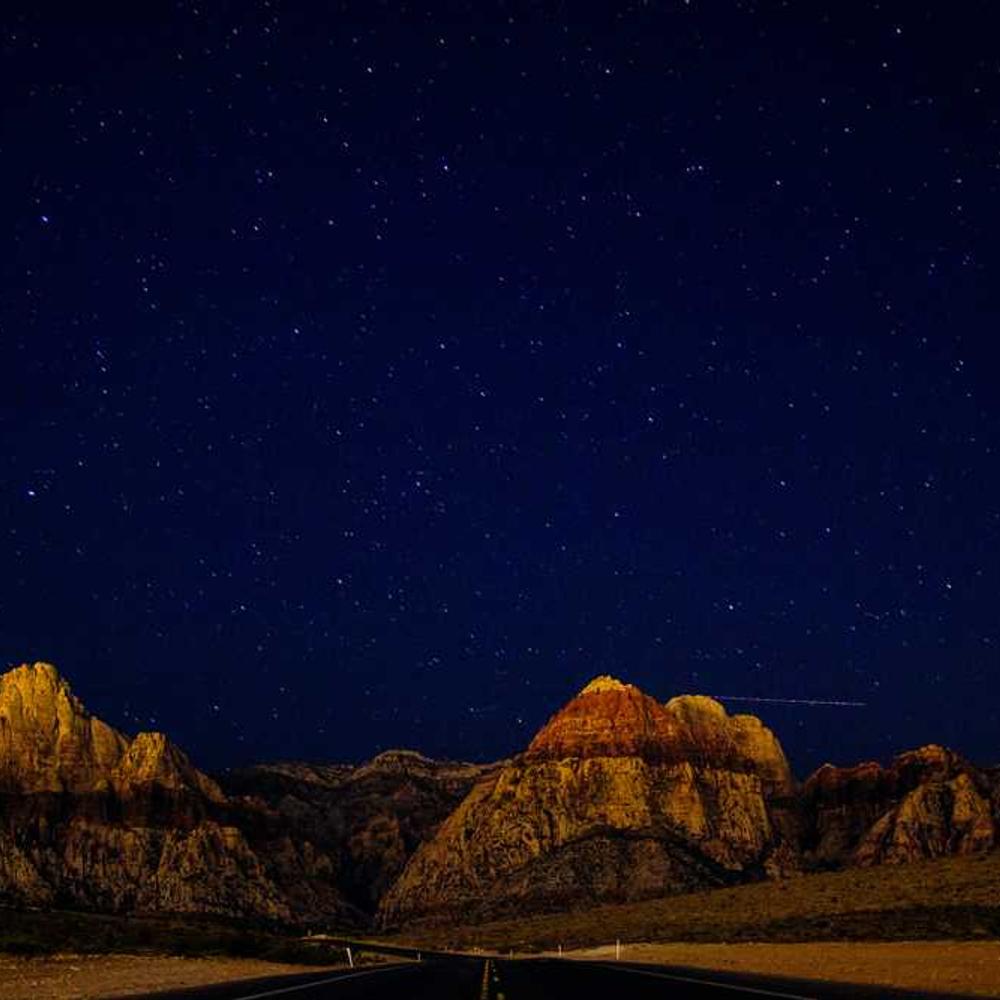 Exclusive 30-Minute Live Co-Hosting Session