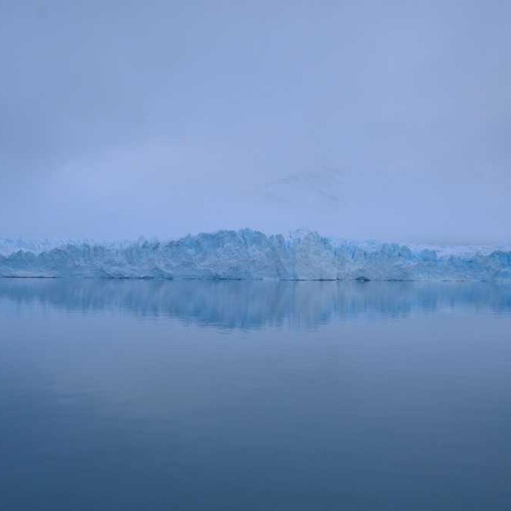 Biñan Pet Community Brand Partnership