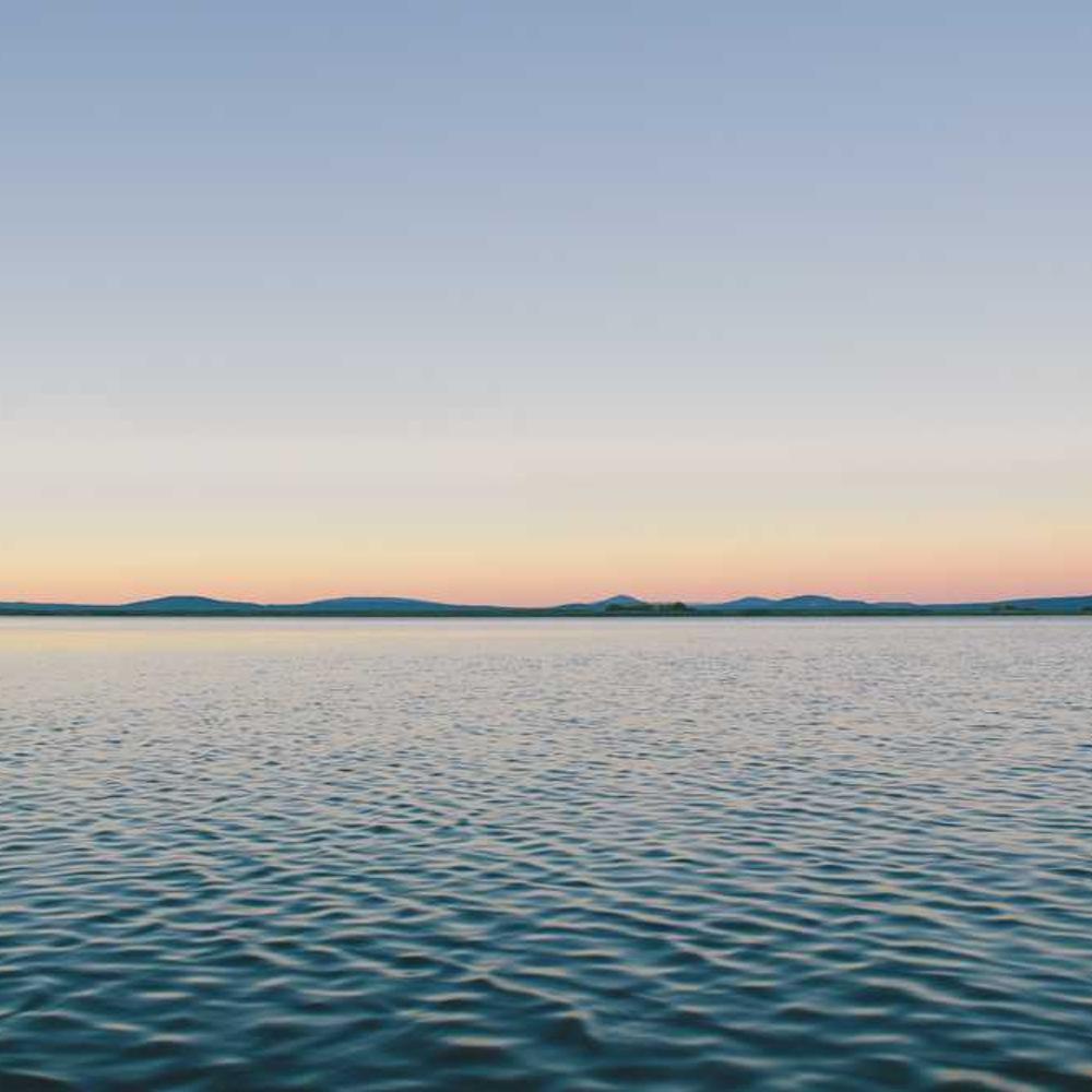 Instagram Live Co-Host Session