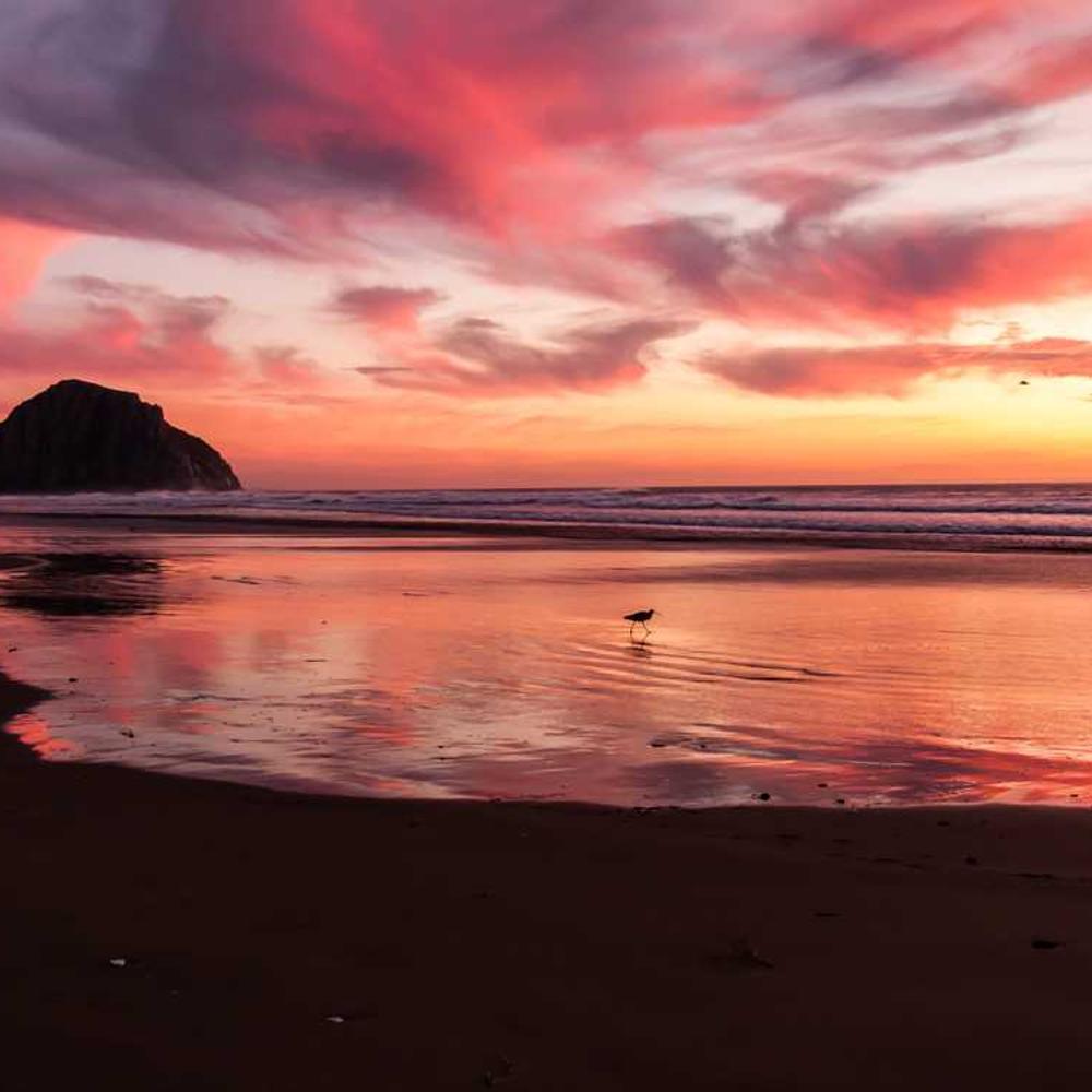 Authentic Reel for Filipino Gen-Z Market