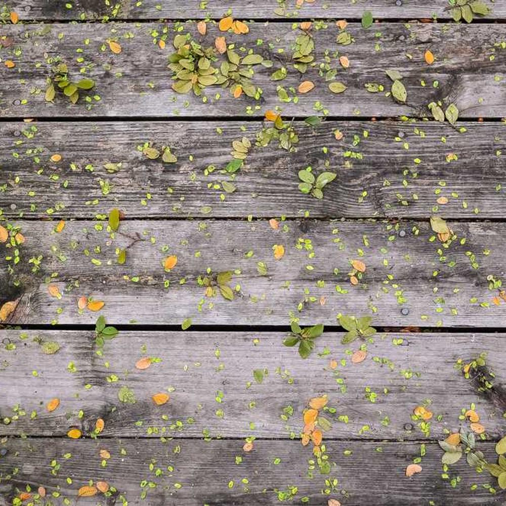 Authentic Facebook UGC Reels for Brands