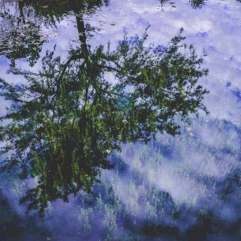 Co-Host a Live Engagement Session