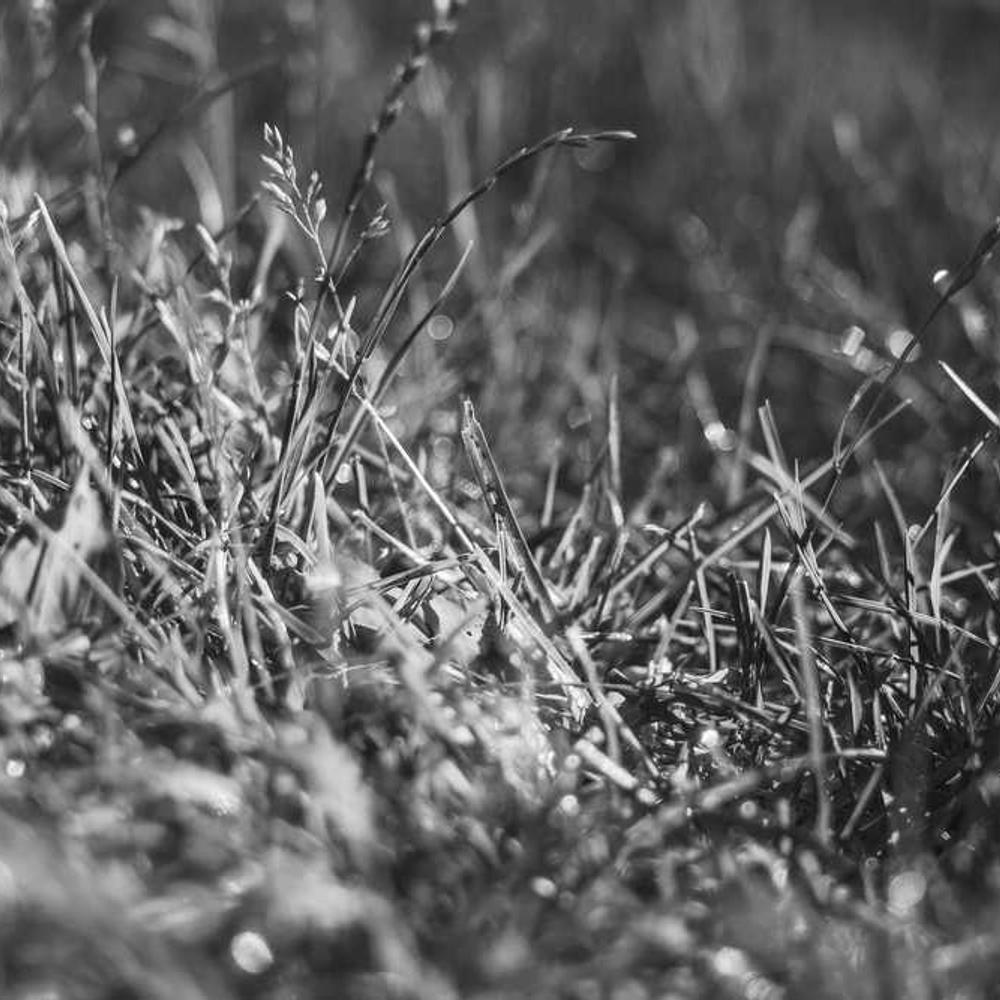 Dedicated Product Integration Tutorial