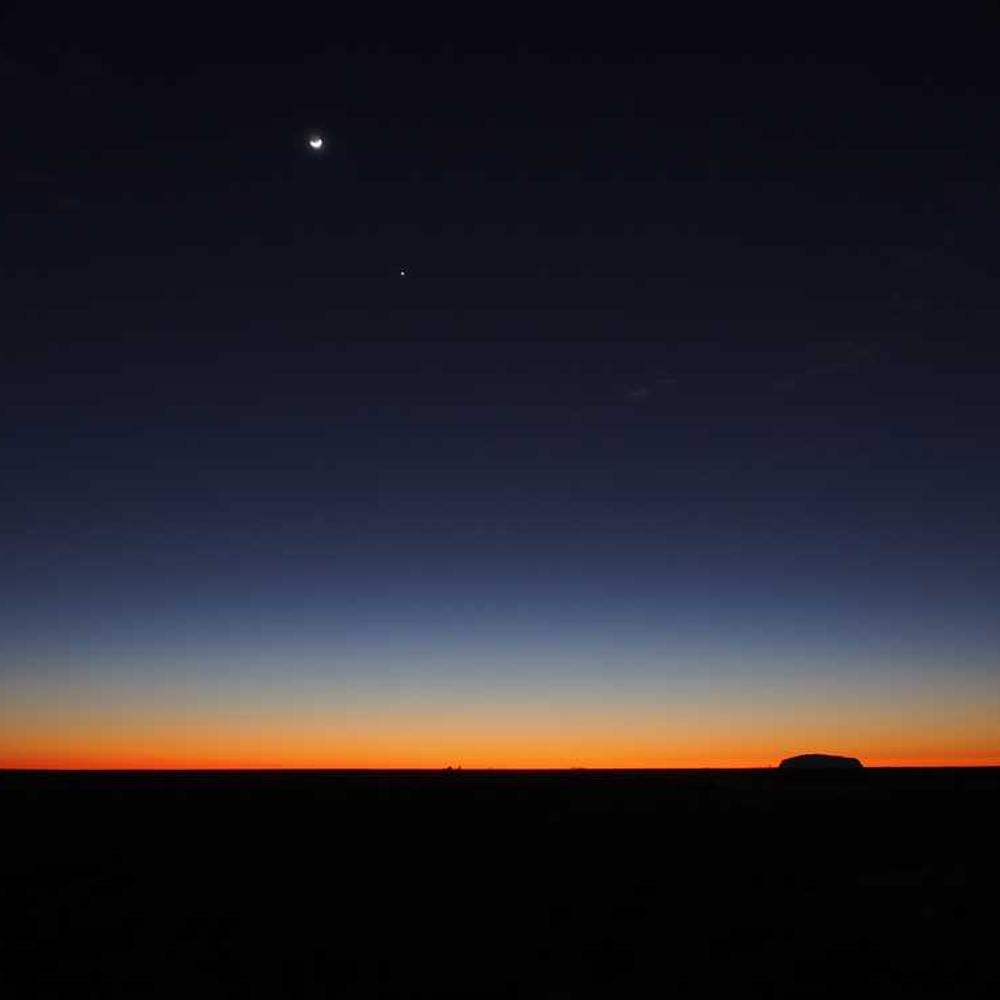 Authentic Local Community Live Co-Host