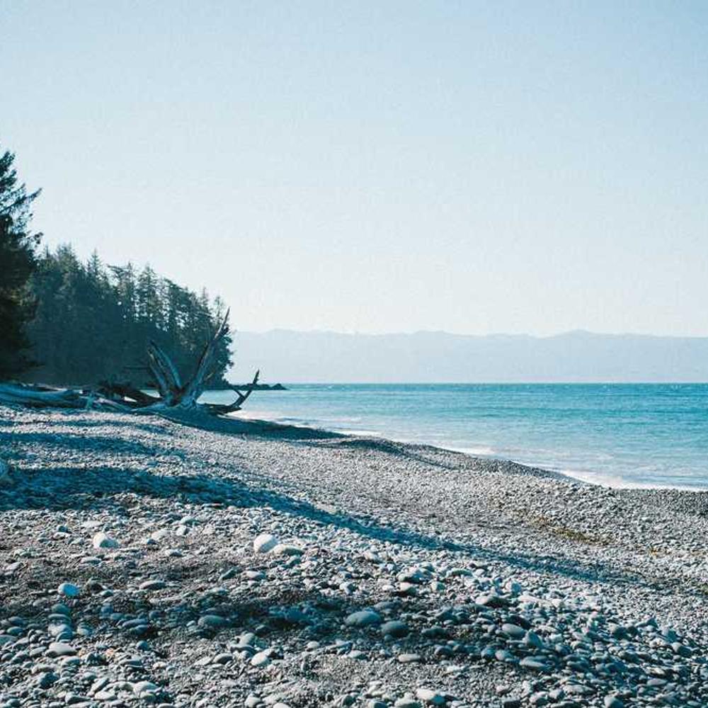 Live Local Audience Endorsement